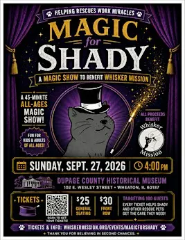 Magic for Shady