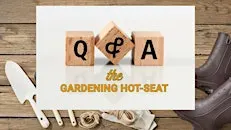 The Gardening Hot Seat: Bring Your Questions to our Panel