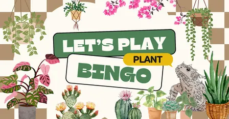 Plant Bingo!