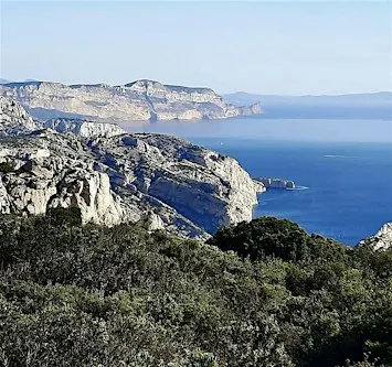 Sortie Découverte - Un Groupe Qui Marche à  Marseille, nature