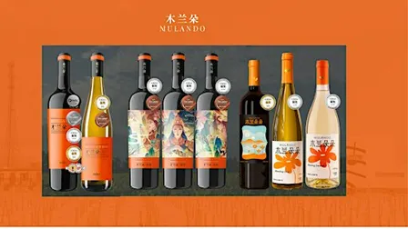 A Sip of Award Winning Wine : Bordeaux of China- Ningxia | Mulando