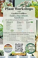 Fairy Succulent Gardens at Prosperity Brewers
