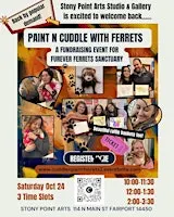 Cuddle-n- Paint with Ferrets!