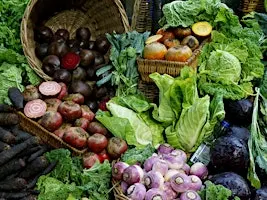 Fall Vegetable Garden Workshop