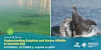 Lunch & Learn | Understanding Dolphins and Marine Wildlife in Sarasota Bay