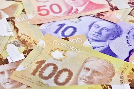 Finding the Right Grants for Your Business with David Kincade
