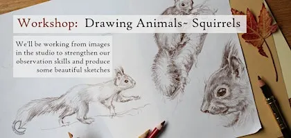Workshop: Drawing Animals- Squirrels, for  Beginners +, Eindhoven