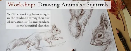 Workshop: Drawing Animals- Squirrels, for  Beginners +, Eindhoven
