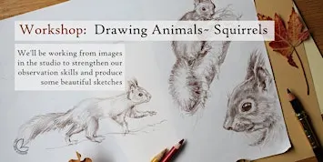 Workshop: Drawing Animals- Squirrels, for  Beginners +, Eindhoven