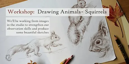Workshop: Drawing Animals- Squirrels, for  Beginners +, Eindhoven