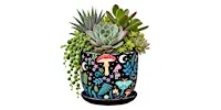 Fallin' for Succulents: The Succulent Bar at Dragonfly Lounge