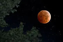 Corn Harvest Moon Hike