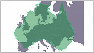 Oud vs. Nieuw: Europa ontmoet Australië