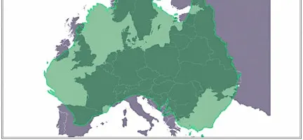 Oud vs. Nieuw: Europa ontmoet Australië