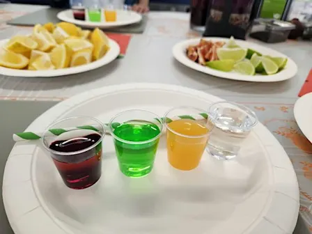 Scientific Chefs' - A Persian Kitchen Adventure for Curious Kids