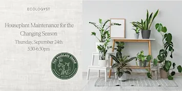 Free Seminar: Houseplant Maintenance for the Changing Season
