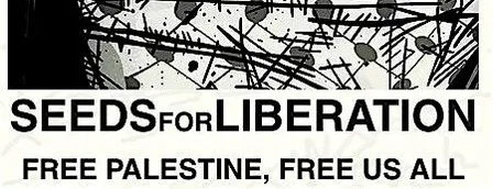 CODEPINK Reno Movie Screening: Seeds for Liberation