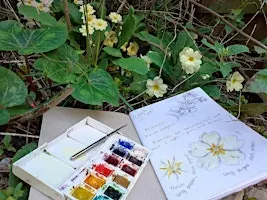 Fingringhoe Woodland Wildlife Ramble and Nature Journaling