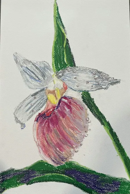 Oil Pastels Class