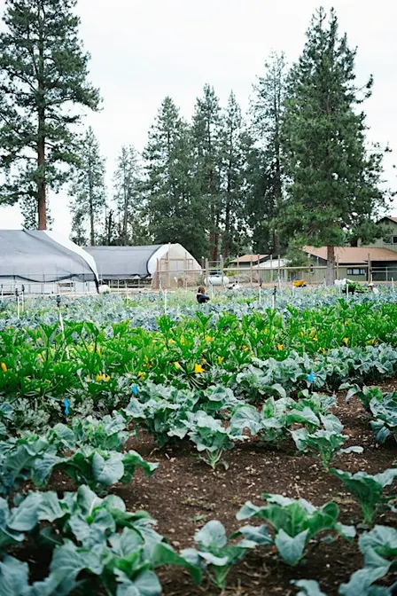 Fall Farm Tour