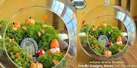Autumn Gnome Moss Terrarium | Danilly Designs