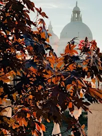 A New Window into Italy: An Autumn Evening