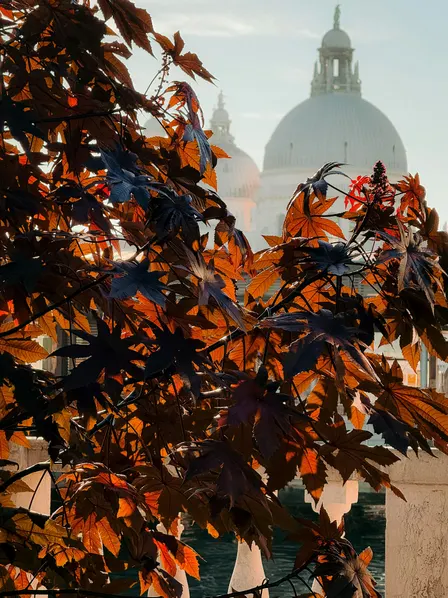 A New Window into Italy: An Autumn Evening