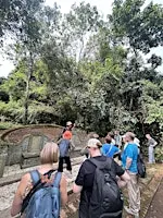 Nature in City - Bukit Brown Cemetery