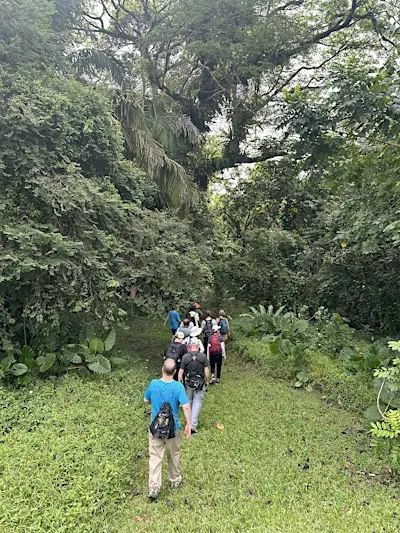 Nature in City - The Jungles of Queenstown and Tanglin