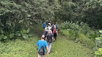 Nature in City - The Jungles of Queenstown and Tanglin