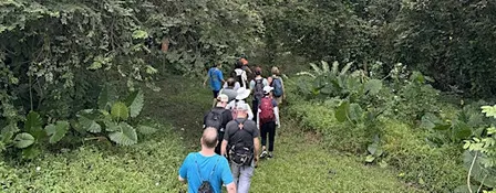 Nature in City - The Jungles of Queenstown and Tanglin