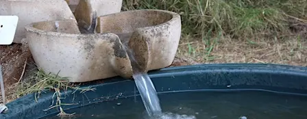 Biodynamic Practical