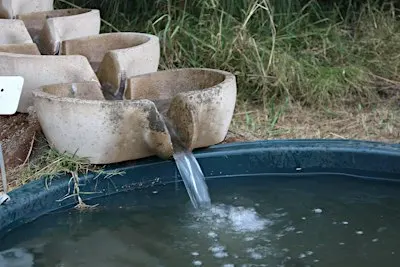 Biodynamic Practical