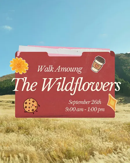 Walk Among The Wildflowers