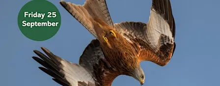 Autumn Bird Walk: Thornley Woods