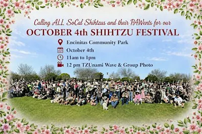 SoCal Shih Tzu Festival
