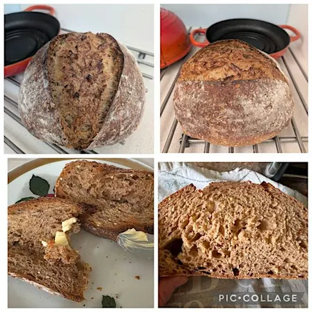 Free - Sourdough Bread Making Class