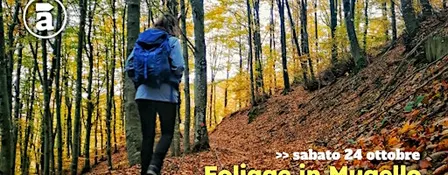 Foliage in Mugello