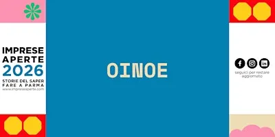 Visit Cantina OINOE: Visita alla Cantina e ai luoghi di affinamento.