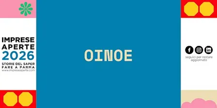 Visit Cantina OINOE: Visita alla Cantina e ai luoghi di affinamento.