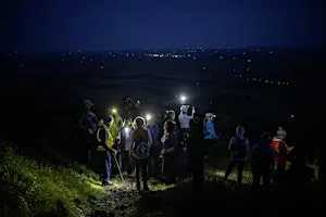Moonlight Walk