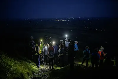 Moonlight Walk