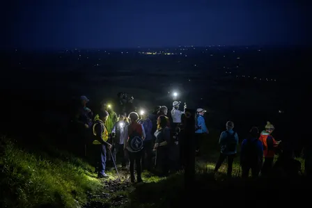 Moonlight Walk