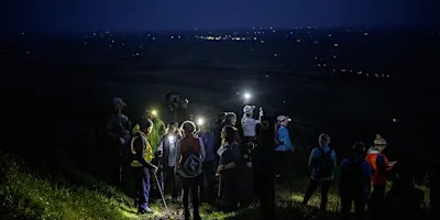 Moonlight Walk