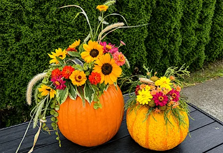 Fresh Flower Market at Heinen’s: Pumpkin Edition