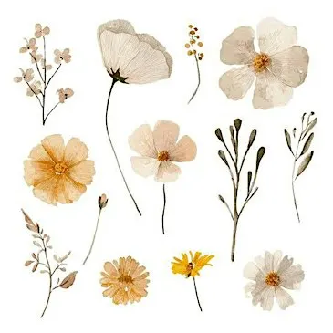 Pressed Wildflower Craft Session