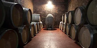 Tasting at Museum Wines: The Art of the Blend