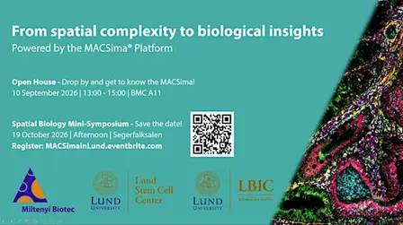 From spatial complexity to biological insights - Powered by MACSima®