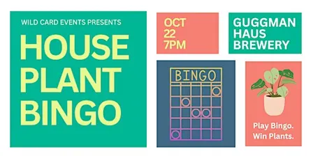 House Plant BINGO!