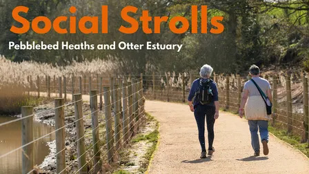 Social Stroll